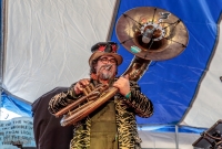 Strapping Owls - Traverse City Microbrew Fest 2017