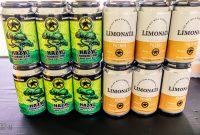 Summer-Beer-Fest-2025-Day-1-121