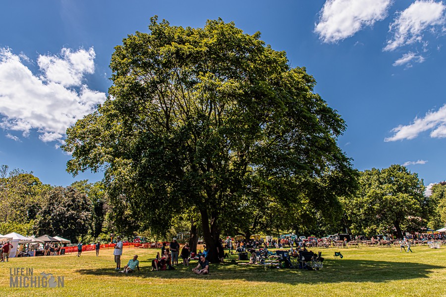 MBG-Summer-Beer-Festival-2026-207