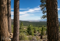 Susanville Rails To Trail Fest - Pre50k - 2014
