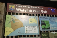 Whitefish Point bird sanctuary