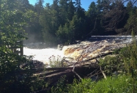 Lower Tahquamenon Falls