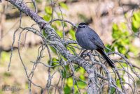 Tawas-Point-State-Park-27
