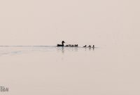 Tawas-Point-State-Park-53