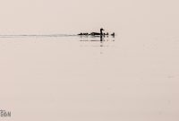 Tawas-Point-State-Park-54