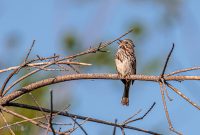Tawas-Point-State-Park-57