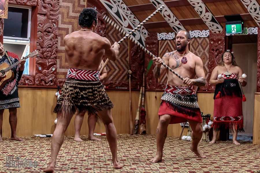 warrior - Te Puia in Rotorua