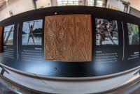 Te-Puia-New-Zealand-16