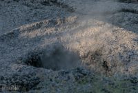 Te-Puia-New-Zealand-31