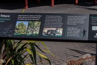 Te-Puia-New-Zealand-4