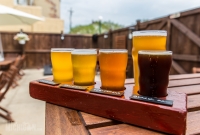 Tecumseh Brewing-6