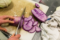The Brinery - Fermentation 101-45
