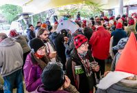 The-Great-Beerd-Run-2019-115