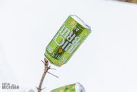 The-Great-Beerd-Run-2019-68