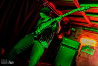 The-Lucid-Furs-Sanctuary-2022-11