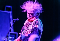 Melvins - Majestic