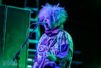 Melvins - Majestic