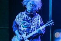 Melvins - Majestic