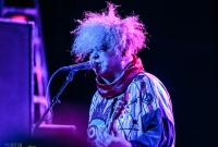 Melvins - Majestic