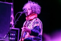 Melvins - Majestic