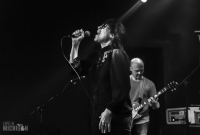 The Octopus-20