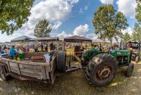 Tompkins-Freedom-Festival-111