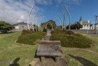 Travel-Ideas-North-Island-New-Zealand-15