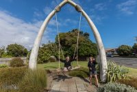 Travel-Ideas-North-Island-New-Zealand-17