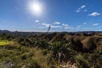 Travel-Ideas-North-Island-New-Zealand-18