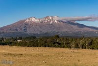 Travel-Ideas-North-Island-New-Zealand-20
