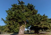 Travel-Ideas-North-Island-New-Zealand-25