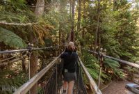 Travel-Ideas-North-Island-New-Zealand-35