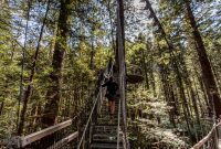 Travel-Ideas-North-Island-New-Zealand-46