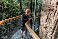 Travel-Ideas-North-Island-New-Zealand-48