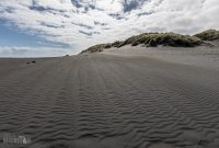 Travel-Ideas-North-Island-New-Zealand-6
