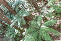 Travel-Ideas-North-Island-New-Zealand-75