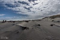 Travel-Ideas-North-Island-New-Zealand-8