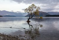 Travel-Ideas-South-Island-New-Zealand-17