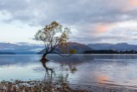 Travel-Ideas-South-Island-New-Zealand-20
