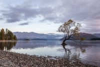Travel-Ideas-South-Island-New-Zealand-21