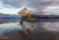 Travel-Ideas-South-Island-New-Zealand-22