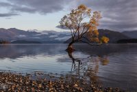 Travel-Ideas-South-Island-New-Zealand-23
