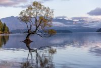 Travel-Ideas-South-Island-New-Zealand-25