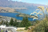 Travel-Ideas-South-Island-New-Zealand-65