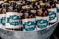 Traverse City Microbrew and Music Fest 2017
