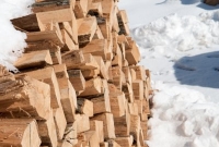 Wood that can\'t be milled is sold for firewood