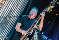 Twistin-Tarantulas-Manchester-Underground-18