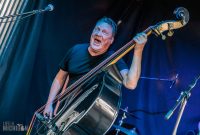 Twistin-Tarantulas-Manchester-Underground-28