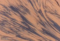 UP-Fall-PreFest-2025-10