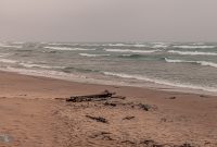 UP-Fall-PreFest-2025-103